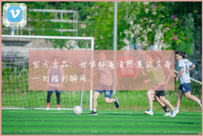 官方出品：世俱杯高清图集记录每一刻精彩瞬间